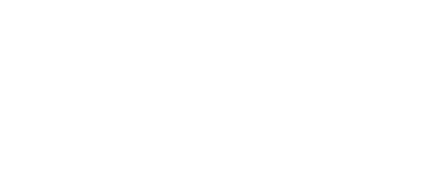 Brave Festival